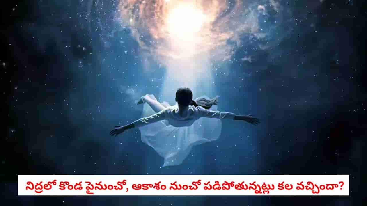 Dream Secrets: కలలో ఎత్తు నుండి కింద పడిపోతున్నట్లు అనిపిస్తోందా? స్వప్న శాస్త్రం చెబుతున్న ఆ షాకింగ్ నిజాలు ఇవే!