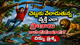 సింహం, పాము, మొసళ్లు.. ఆ వ్యక్తి బతికేదెలా?.. చిక్కుప్రశ్న