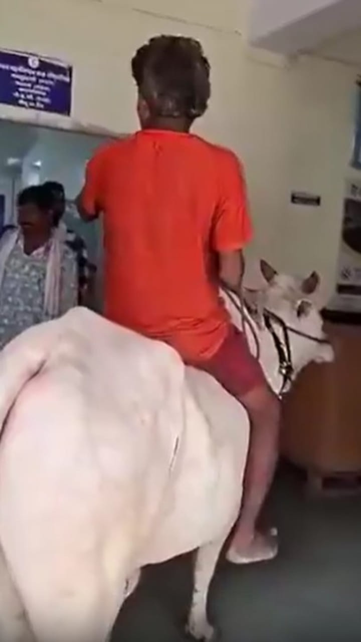 రుణమాఫీ కోసం రైతన్న వినూత్న నిరసన.. మహారాష్ట్రలో ఘటన