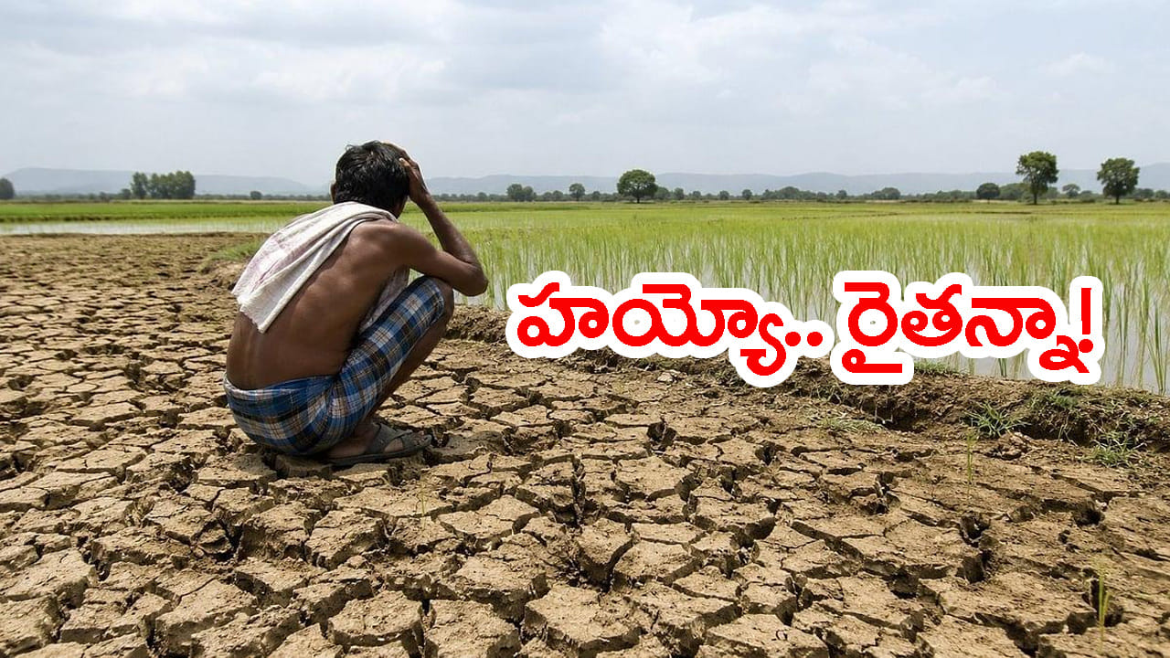 మృగశిర ముగిసినా కానరాని వాన జాడ.. ఆకాశం వైపు ఆశగా రైతన్నల ఎదురు చూపులు!