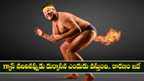 గ్యాస్ వదిలినప్పుడు దుర్వాసన ఎందుకు వస్తుంది.. కారణం ఇదే