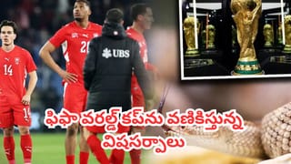 FIFA World Cup 2026 : స్విట్జర్లాండ్ ఫుట్‌బాల్ జట్టు పై పగబట్టిన పాములు.. అడుగు బయటపెడితే అంతే అంటున్న కోచ్‎లు
