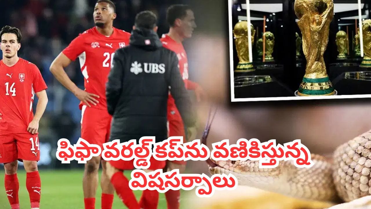 FIFA World Cup 2026 : స్విట్జర్లాండ్ ఫుట్బాల్ జట్టు పై పగబట్టిన పాములు.. అడుగు బయటపెడితే అంతే అంటున్న కోచ్లు