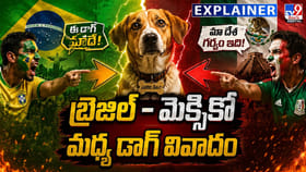 వీధికుక్క కోసం కొట్టుకుంటున్న రెండు దేశాలు
