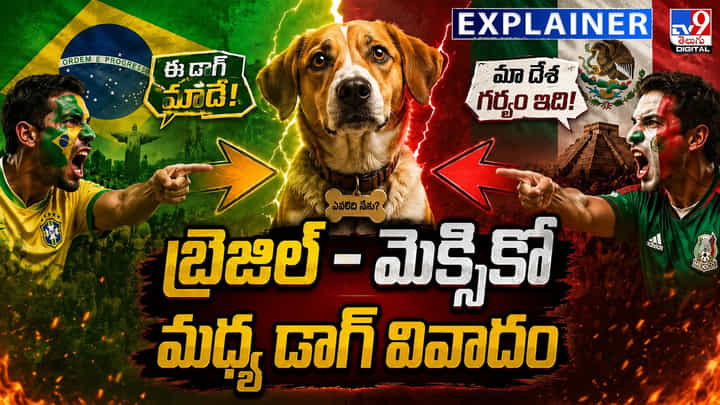 వీధికుక్క కోసం కొట్టుకుంటున్న రెండు దేశాలు వీధికుక్క కోసం కొట్టుకుంటున్న రెండు దేశాలు