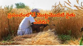 ప్రపంచంలోనే మొట్టమొదటి రైతు ఎవరు? మానవాళి పండించిన ఆ మొదటి పంట కథ