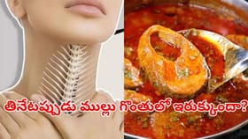 గొంతులో ఇరుక్కున్న చేప ముళ్లును తొలగించడం ఇంత ఈజీనా?