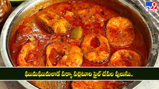 Fish Curry Recipe: ఘుమఘుమలాడే పక్కా పల్లెటూరి స్టైల్ చేపల పులుసు.. ఈ చల్లగాలికి తింటే అబ్బా..