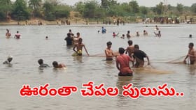 మృగశిర కార్తెకు ముందే పండగ.. చెరువులోని చేపల లూటీ..