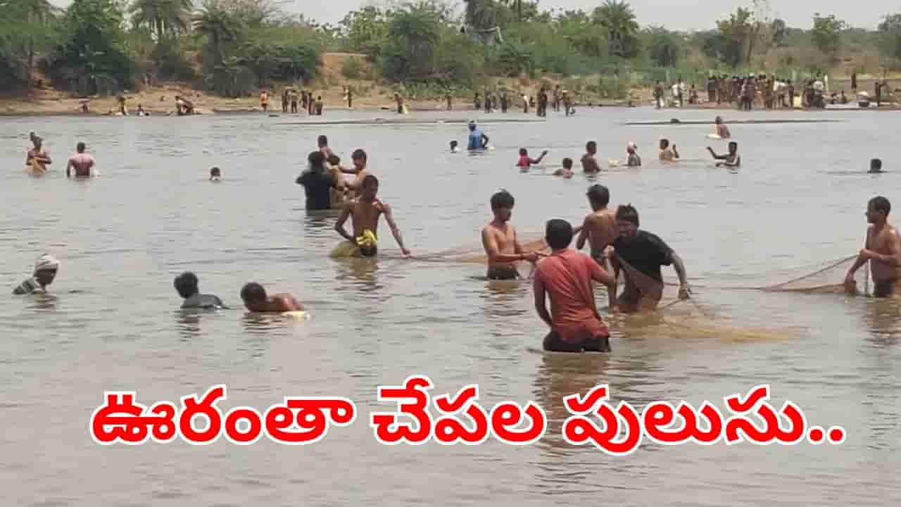 మృగశిర కార్తె అయితే.. చేపలు కొనుక్కోవాలి.. లూటీ చేయకూడదు.. చెరువు మీద పడి నిమిషాల్లోనే..