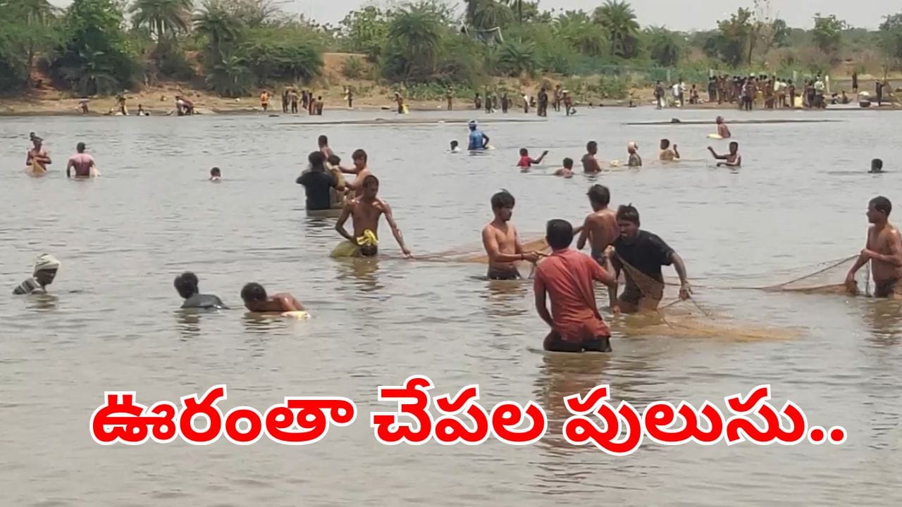 మృగశిర కార్తె అయితే.. చేపలు కొనుక్కోవాలి.. లూటీ చేయకూడదు.. చెరువు మీద పడి నిమిషాల్లోనే..