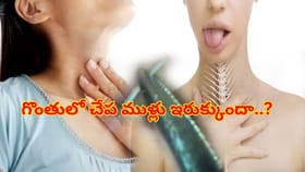 చేప ముల్లు గొంతులో ఇరుక్కుందా? ఈ చిట్కాలతో ఈజీగా బయటపడండి!