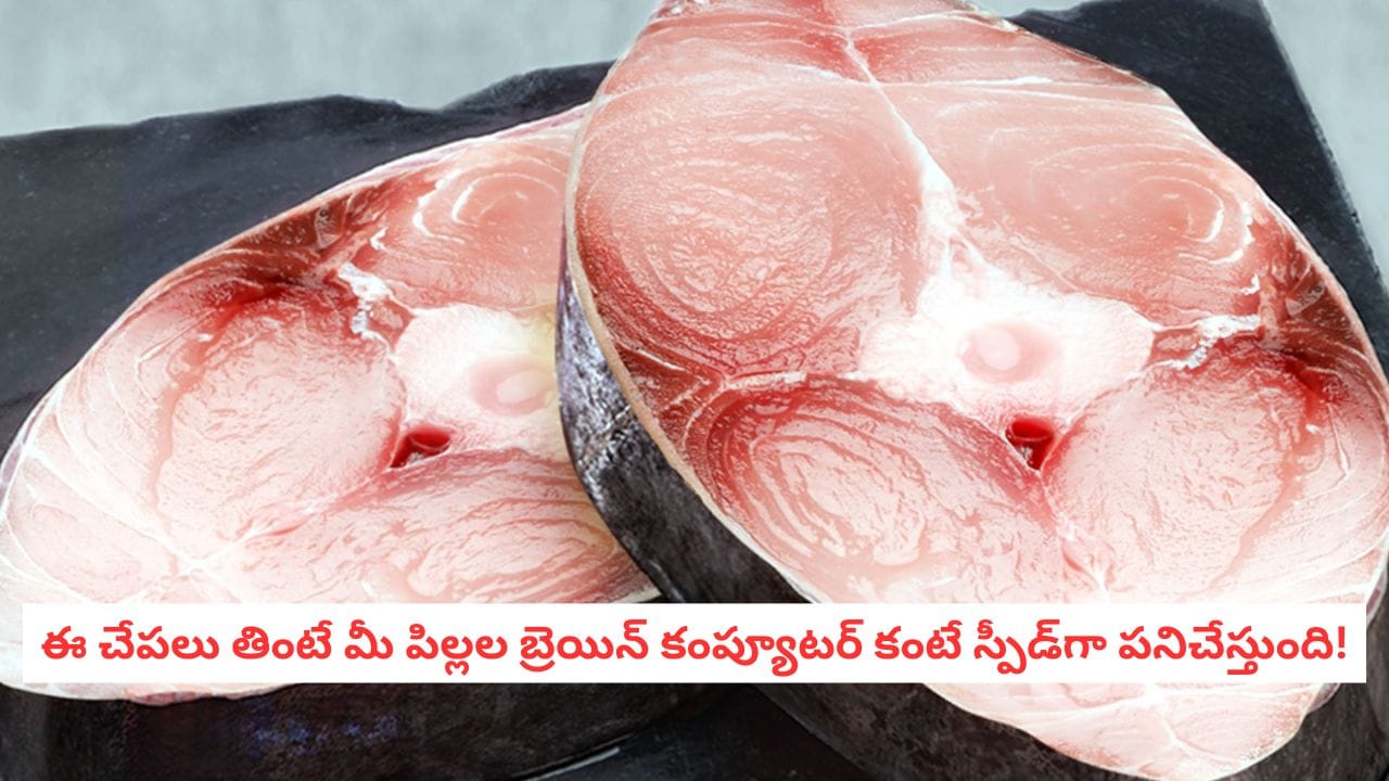 Fish For Kids: చికెన్, మటన్ తినిపిస్తే వేస్ట్.. మీ పిల్లలు క్లాస్ టాపర్ అవ్వాలంటే వారానికి రెండుసార్లు ఈ చేపలు పెట్టాల్సిందే!