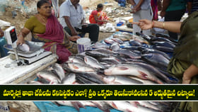 తాజా చేపలను ఎంచుకునే చిట్కాలు!