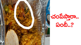 వెజ్‌ బిర్యానీలో ఈగ.. రూ.లక్ష జరిమానా విధించిన IRCTC