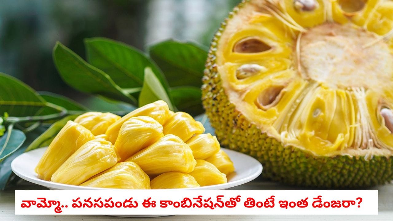 Jackfruit: అమృతం లాంటి పండు.. ఈ కాంబినేషన్ తో తింటే మాత్రం కడుపులోకి విషం పంపినట్టే..