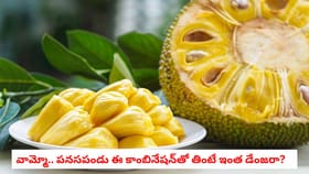 వామ్మో.. పనసపండు ఈ కాంబినేషన్‌తో తింటే ఇంత డేంజరా?