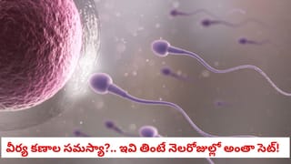 స్టైల్‌గా కనిపించాలని అనుకుంటున్నారా? ఈ సింపుల్ టిప్స్‌తో ట్రెండీ లుక్స్‌ మీ సొంతం