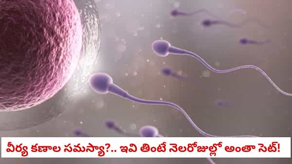 Reproductive Health: మగవారిలో వీర్యకణాల సంఖ్య పెరగాలా?..ఈ ఒక్క కూరగాయ అమృతం లాంటిది!