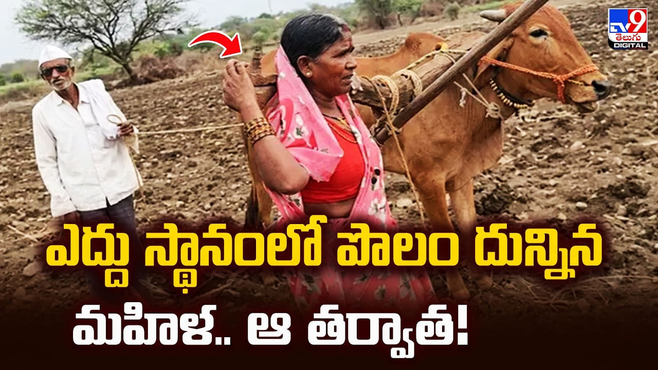 ఎద్దు స్థానంలో పొలం దున్నిన మహిళ.. ఆ తర్వాత!