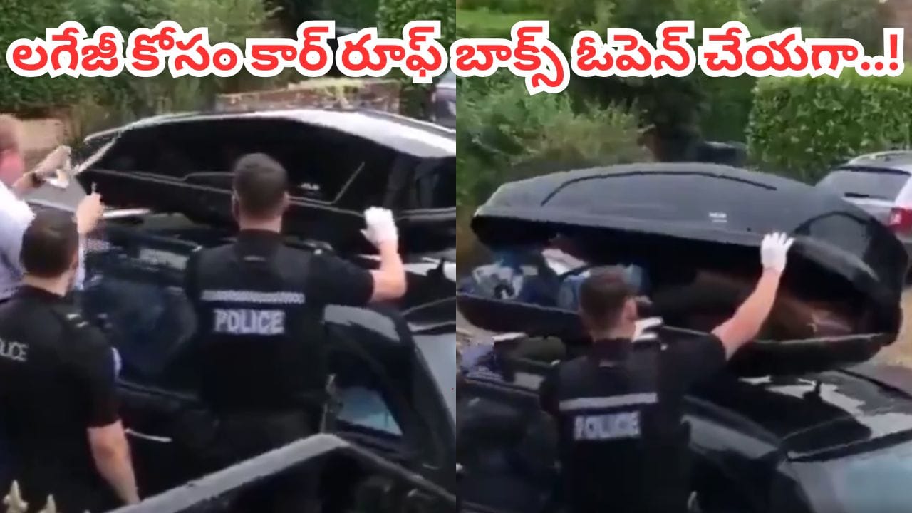 Video: టూర్‌కు వెళ్లి ఇంటికొచ్చిన ఫ్యామిలీ.. లగేజ్ కోసం కార్ రూఫ్ బాక్స్ ఓపెన్ చేయగా.. ఏం కనిపించిందంటే?