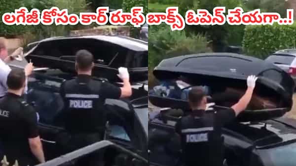 Video: టూర్కు వెళ్లి ఇంటికొచ్చిన ఫ్యామిలీ.. లగేజ్ కోసం కార్ రూఫ్ బాక్స్ ఓపెన్ చేయగా.. ఏం కనిపించిందంటే?