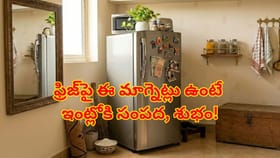 సంపద, సానుకూల శక్తి కోసం ఫ్రిజ్‌పై ఎలాంటి మాగ్నెట్లు పెట్టాలంటే..