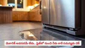 మెకానిక్ అవసరమే లేదు.. ఫ్రిజ్‌లో నుంచి నీరు కారే సమస్యకు చెక్