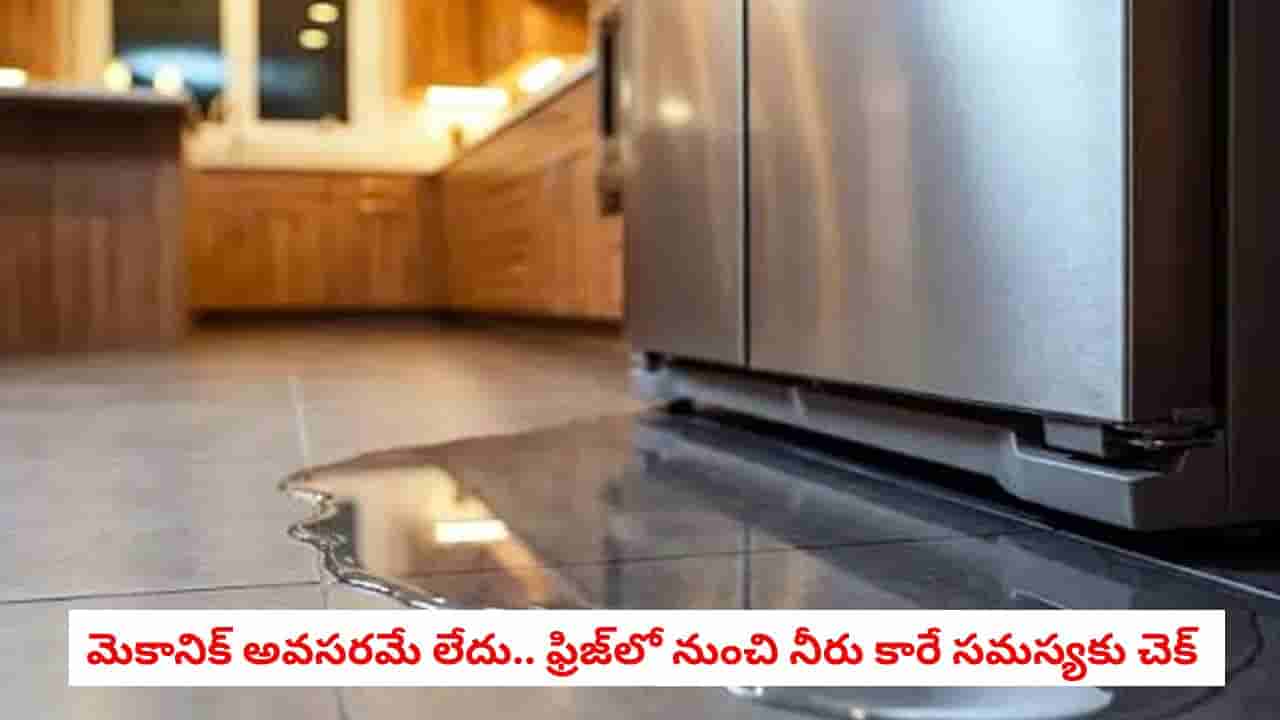 Refrigerator Tips: ఫ్రిజ్లో నుంచి కంటిన్యూగా నీరు కారుతోందా? రూపాయి ఖర్చు లేకుండా ఇంట్లోనే రిపేర్ చేసుకునే సింపుల్ ట్రిక్స్ ఇవే!