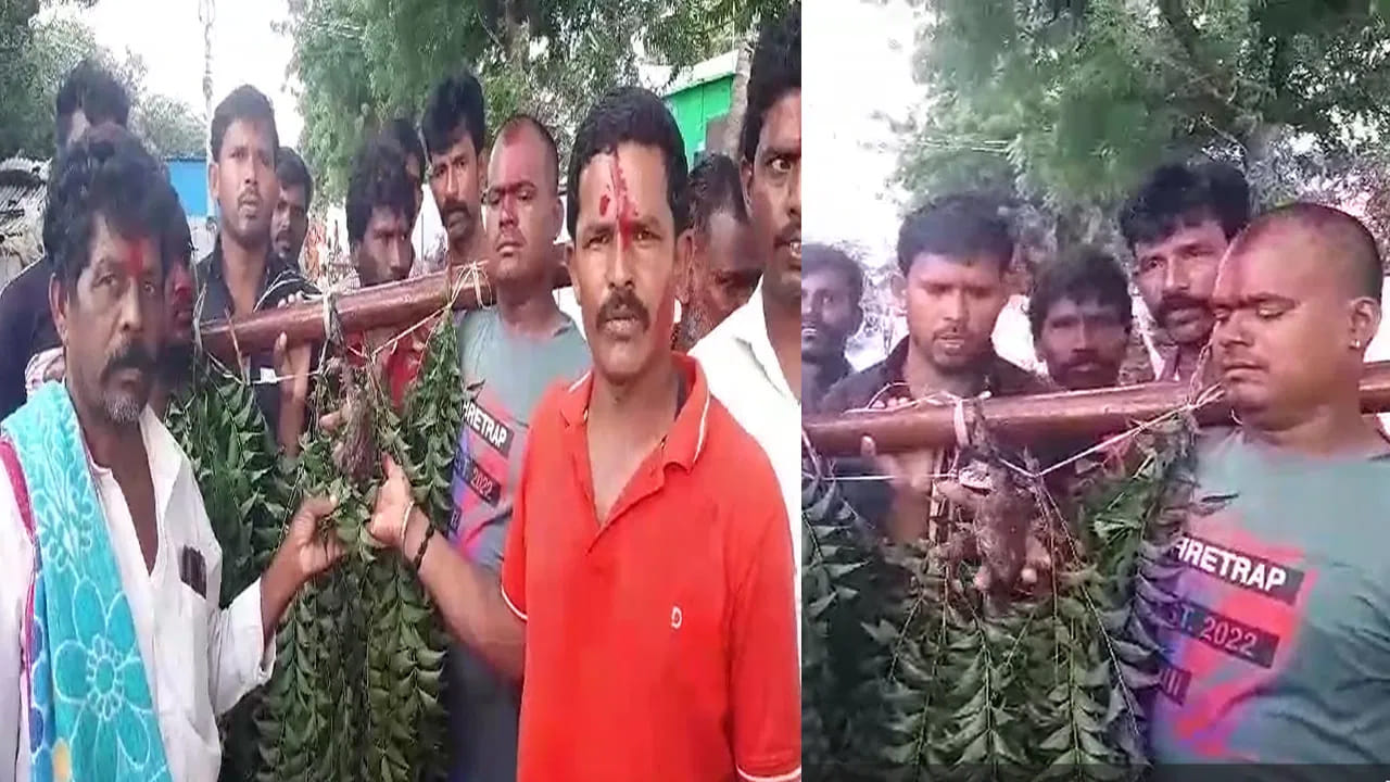 మరో ఆసక్తికరమైన అభిప్రాయం ప్రకారం, నీటిలోనూ భూమిపైనూ జీవించే కప్పలను ప్రకృతితో ముడిపడి ఉన్న జీవులుగా భావించారు. అందువల్ల వాటిని శుభ సూచకంగా పరిగణించి, వర్షాలు కురవాలనే ఆకాంక్షతో కప్పల వివాహం చేసే సంప్రదాయం ఏర్పడిందని చెబుతారు. అయితే కప్పల పెళ్లి వల్ల నిజంగానే వర్షం కురుస్తుందా అనే విషయానికి శాస్త్రీయ ఆధారాలు లేవు. అయినప్పటికీ, ఇది గ్రామీణ సంస్కృతి, ప్రజల విశ్వాసాలు, ప్రకృతిపట్ల ఉన్న అనుబంధాన్ని ప్రతిబింబించే ఒక ప్రత్యేకమైన జానపద ఆచారంగా ఇప్పటికీ కొనసాగుతోంది.
(Disclaimer: ఇక్కడ అందించిన సమాచారం సాధారణ నమ్మకాల ఆధారంగా మాత్రమే అందించబడింది. ఈ సమాచారం ఖచ్చితంగా నిజం లేదా శాస్త్రీయంగా నిర్ధారితమైన సమాచారం అని భావించకండి. వ్యక్తిగత నిర్ణయాలు తీసుకునే ముందు సంబంధిత నిపుణులను సంప్రదించడం మంచిది.)