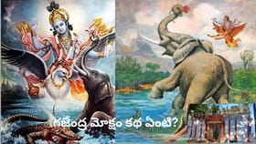 గజేంద్ర మోక్షాన్ని కళ్లకు కట్టే ఈ అరుదైన ఆలయం తెలుగు రాష్ట్రంలోనే