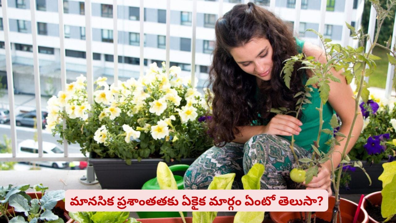 జిమ్కు వెళ్తే ఫిజికల్ హెల్త్..! ఇక్కడ టైమ్ గడిపితే మెంటల్ హెల్త్ మీ సొంతం