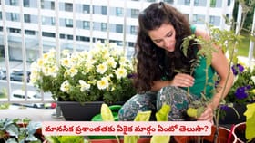 మానసిక ప్రశాంతతకు ఏకైక మార్గం ఏంటో తెలుసా?