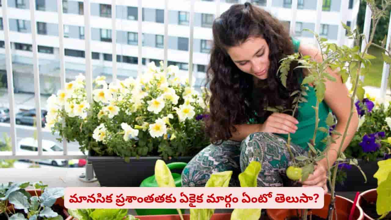 జిమ్కు వెళ్తే ఫిజికల్ హెల్త్..! ఇక్కడ టైమ్ గడిపితే మెంటల్ హెల్త్ మీ సొంతం
