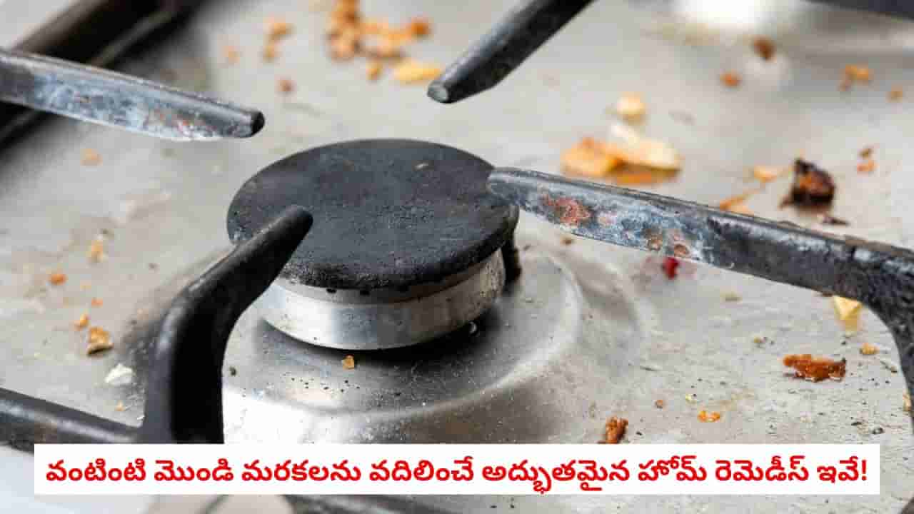 Gas Stove Cleaning: గ్యాస్ స్టవ్పై జిడ్డు, మొండి మరకలు పేరుకుపోయాయా? ఈ 6 చిట్కాలతో నిమిషాల్లో మెరిపించండి!
