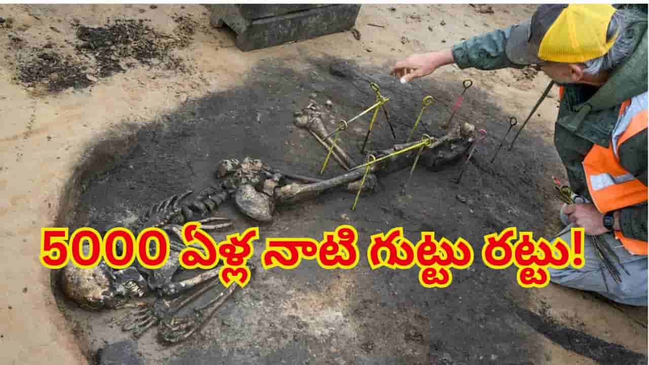 తవ్వకాల్లో బయటపడ్డ 5000 ఏళ్ల నాటి అస్థిపంజరం.. భట్టీ గుంతలో దాచిన గుట్టు రట్టు!
