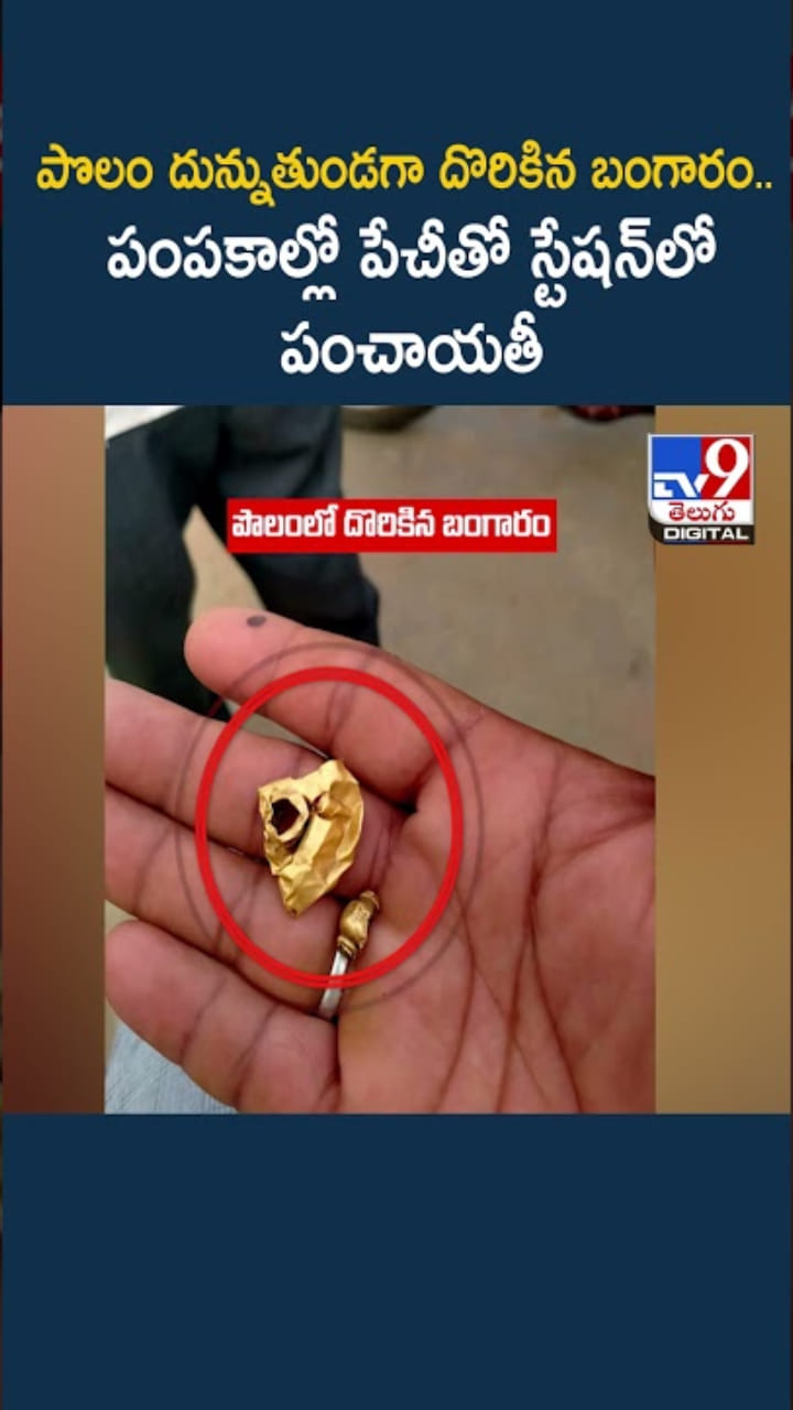 Gold: పొలం దున్నుతుండగా కూలీలకు దొరికిన బంగారం.. కట్ చేస్తే..