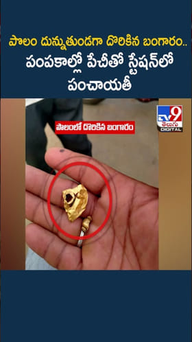 Gold: పొలం దున్నుతుండగా కూలీలకు దొరికిన బంగారం.. కట్ చేస్తే..