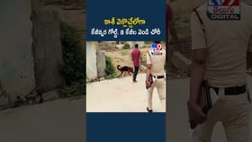 Watch: కాశీ వెళ్లొచ్చేలోగా కేజీన్నర బంగారం, 8 కేజీల వెండి చోరీ