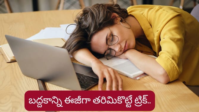 బద్దకాన్ని వదిలి కొత్త మనిషిలా మారాలా? ఈ చిన్న ట్రిక్ ట్రై చేయండి