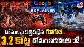 దోమలపై కత్తికట్టిన గూగుల్.. 3.2 కోట్ల దోమల విడుదలకు రెడీ