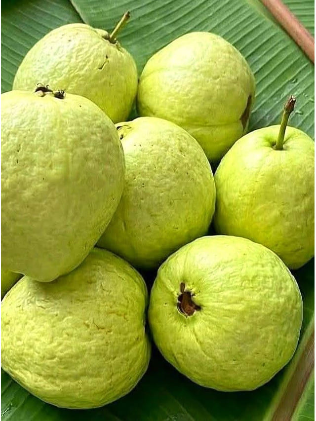 చాలామంది తక్కువ అంచనా వేసే ఈ పండు.. పోషకాల ఖజానా
