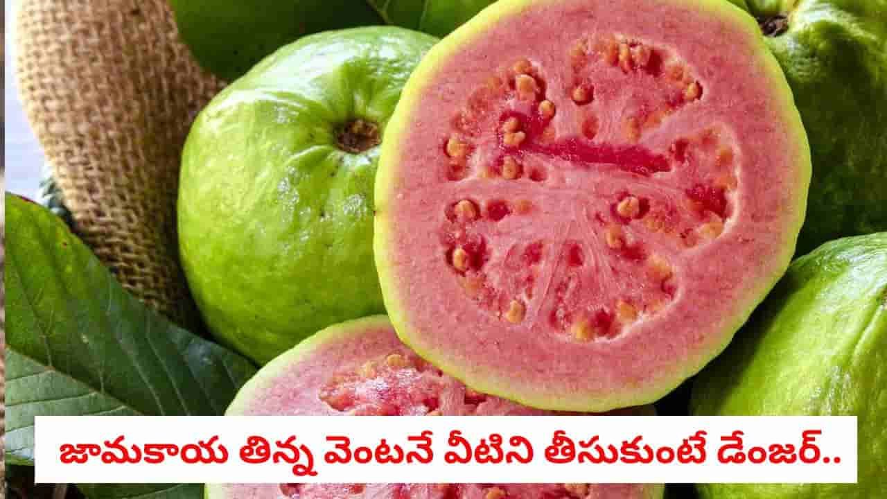Guava: జామకాయ తిన్న వెంటనే వీటిని తీసుకుంటే డేంజర్.. ఆ పొరపాట్లు అస్సలు చేయకండి!