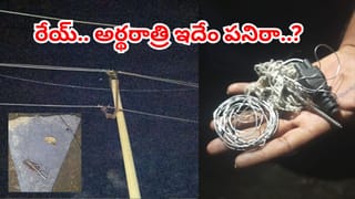 Andhra: తరచూ అర్థరాత్రి వేళల్లో పోతున్న కరెంట్.. ఏంటా అని ఆరాతీస్తే మైండ్ బ్లాంక్ అయ్యే నిజం..