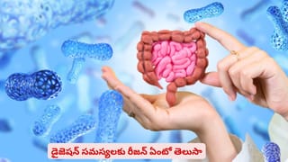 హెల్త్‌ సీక్రెట్.. ఈ ఒక్కటి తింటే అలసట, నీరసం ఇట్టే దూరం అయిపోతాయి