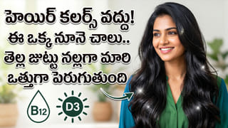 పల్లెటూర్లలో ఉదయాన్నే ఈ రోటి పచ్చడి తినే పనులు చేసే వాళ్ళు..