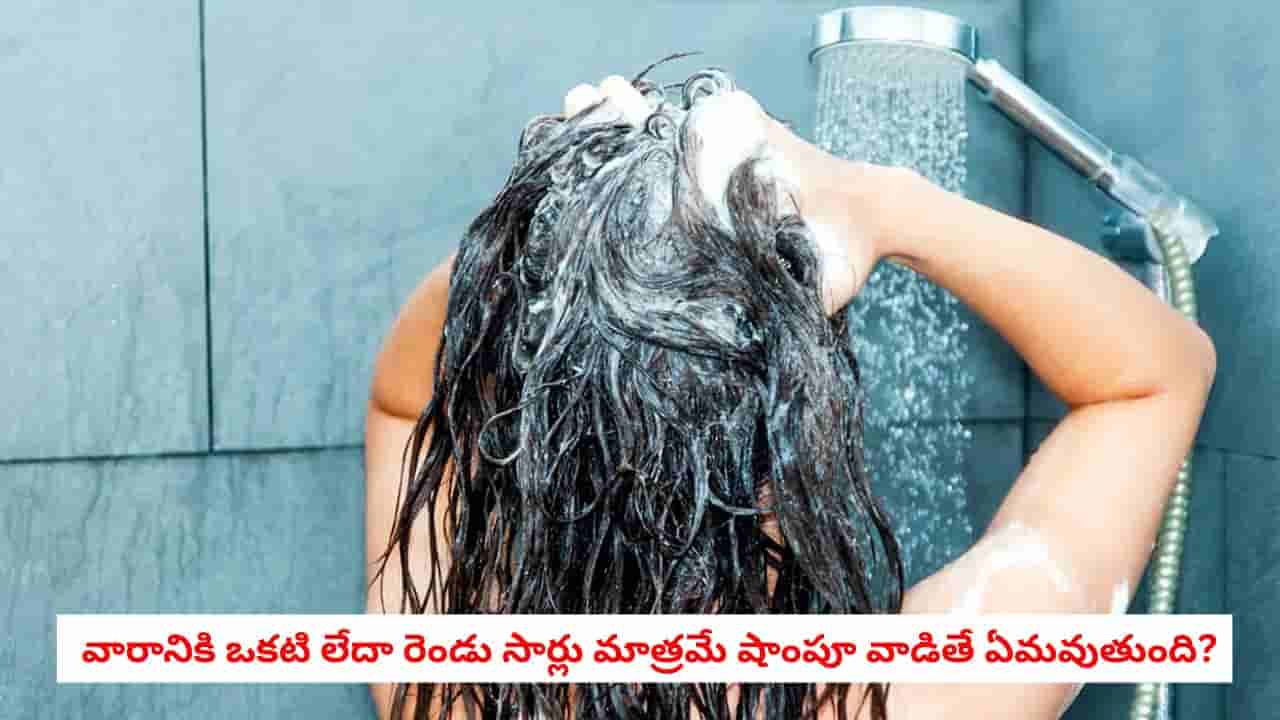 Hair Care: షాంపూ వాడకుండా కేవలం నీటితోనే తలస్నానం చేస్తే.. లాభమా లేక నష్టమా?