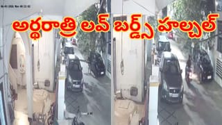 Viral Video: ఇలా ఉన్నారేంట్రా.. అర్థరాత్రి కాలనీల్లో లవ్ బర్డ్స్ హల్చల్.. వీడియో చూసి