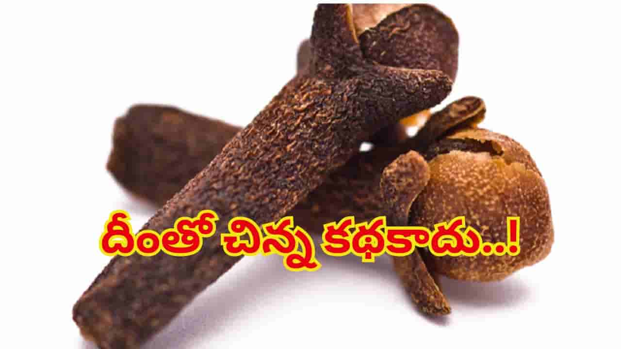 వామ్మో లవంగం.. అంత పనిచేస్తుందా..? రోజూ రెండు నోట్లో వేసుకున్నారంటే ఆ ఆరోగ్య సమస్యలన్నీ పరార్!