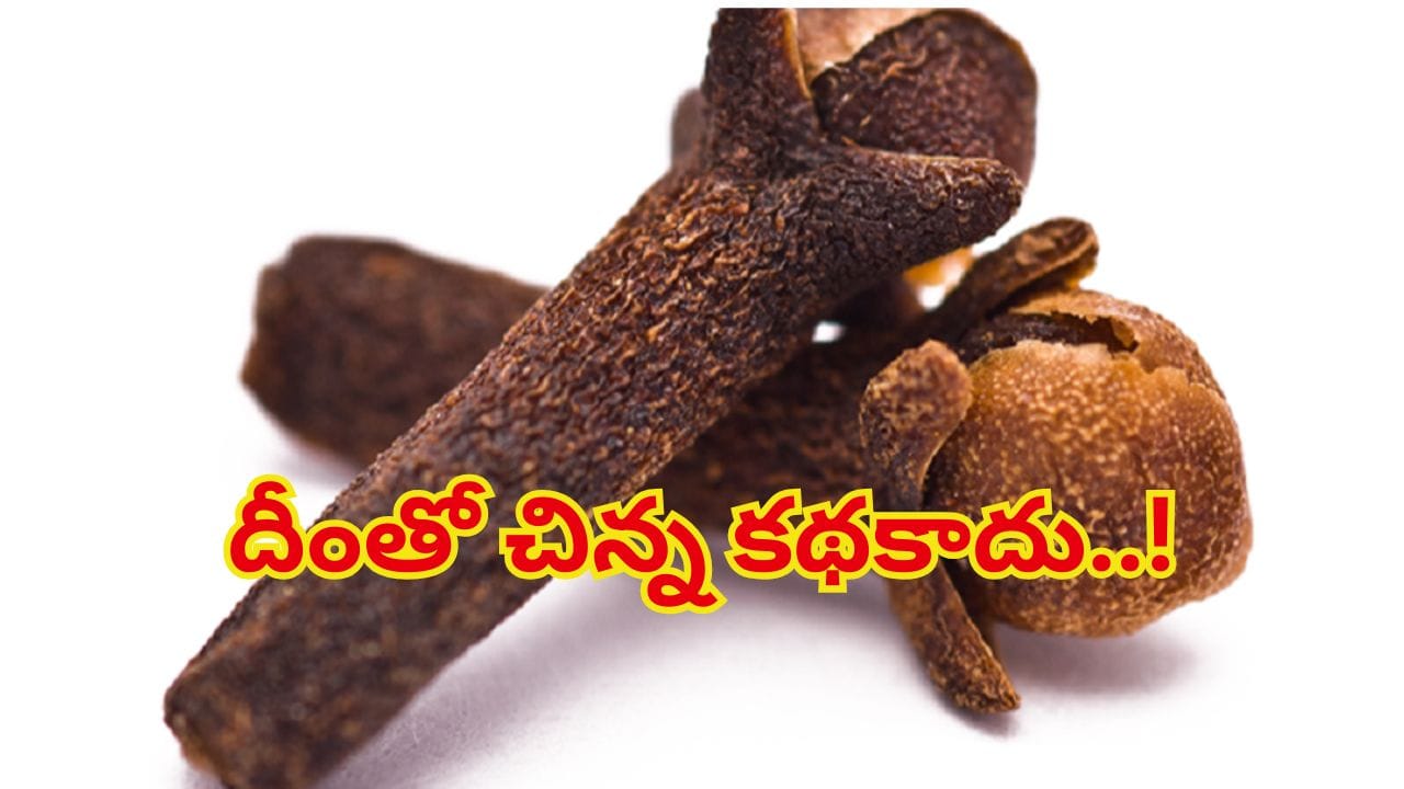 వామ్మో లవంగం.. అంత పనిచేస్తుందా..? రోజూ రెండు నోట్లో వేసుకున్నారంటే ఆ ఆరోగ్య సమస్యలన్నీ పరార్!